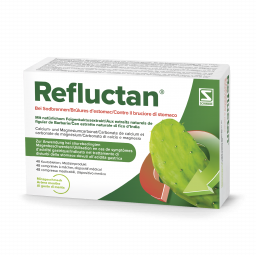 Refluctan Kautabletten Minzgeschmack